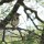 vielfältige Vogelwelt Tansanias