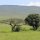 Landschaft im Ngorongoro