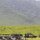 wir sind nicht die Einzigen im Ngorongoro-Krater