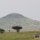 Serengeti-Landschaft