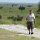 Serengeti-Landschaft