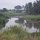 Krokodil in Savannen-Fluss