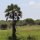 Park-Landschaft