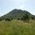 Park-Landschaft