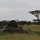 Serengeti-Landschaft
