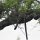 Leopard versteckt in Baum