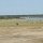 Tiere vor dem Lake Ndutu