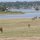 Tiere vor dem Lake Ndutu