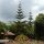 in der Bougainvillea Safari-Lodge