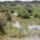 Sumpf-Landschaft