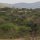 Blick vom Hippo Trail-Camp
