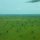 Flug über die Serengeti
