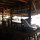 die Pool-Bar