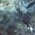Halfterfische