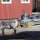 ein Rentier in Ny-Alesund