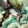 weisse Nacktschnecke in Anemone
