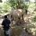 das soll Elefante-Trecking sein, wir zu Fuss das Tier hinterher