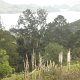 Hügel-, Meeresarm- und Insel-Landschaft