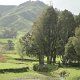 Landschaft zwischen Kaitaia und Kaikohe