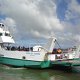 Fähre über den Hokianga Harbour