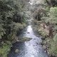 Unterlauf vom Whangarei-Fluss<br />					