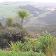 Landschaft auf der Halbinsel Aupouri