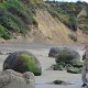 am Strand von Moeraki
