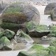 die 'Moeraki-Boulders' sind seltsame Steinkugeln, die teils ganz, andere zerstückelt am Strand liegen<br />					