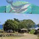 Eingang zum Hideaway-Resort<br />					