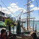 Mittagessen am Hafen<br />					