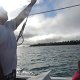 Überfahrt von Fafa-Island nach Nuku'alofa für die Stadtbesichtigung