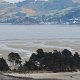 der Otago-Harbour wird durch eine seichte Stelle mit Inseln beinahe vom Pazifik abgetrennt<br />					