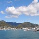 wir erreichen Picton, den Hafen der Fähre auf der Südinsel