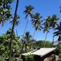 die Hotelanlage Nanuya Island Resort<br />					