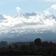 Mt. Ruapehu über dem Nationalpark