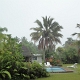 Rarotonga empfängt uns mit unfreundlichem Wetter; es regnet<br />					