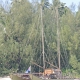 nachgebautes Einheimischen-Boot<br />					