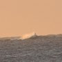die Wellen am Riff vor unserem Strand gehen ganz schön hoch