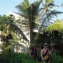 unser Doppel-Bungalow in der Hotelanlage Liku'alofa<br />					