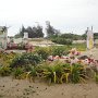 Friedhof von Ohonua<br />					