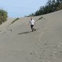 Sigatoka Sand Dunes<br />					