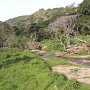 Sigatoka-Valley<br />					
