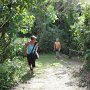anstrengende Wanderung bei den Sigatoka Sand Dunes<br />					