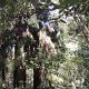 Wanderweg beim Okere-Wasserfall<br />					