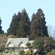 ein Landsitz in der Region Lake Rotorua