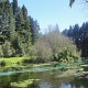 ein Paradies bei Rotorua
