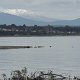 unser erster Schnee-Gipfel über dem Taupo-See schaut durch die Wolken <br />					