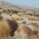 die Hochebene beim Tongariro-NP.<br />					