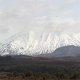 Vulkan Mt. Ngauruhoe ( 2291 m hoch )