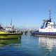 im Hafen von Tauranga